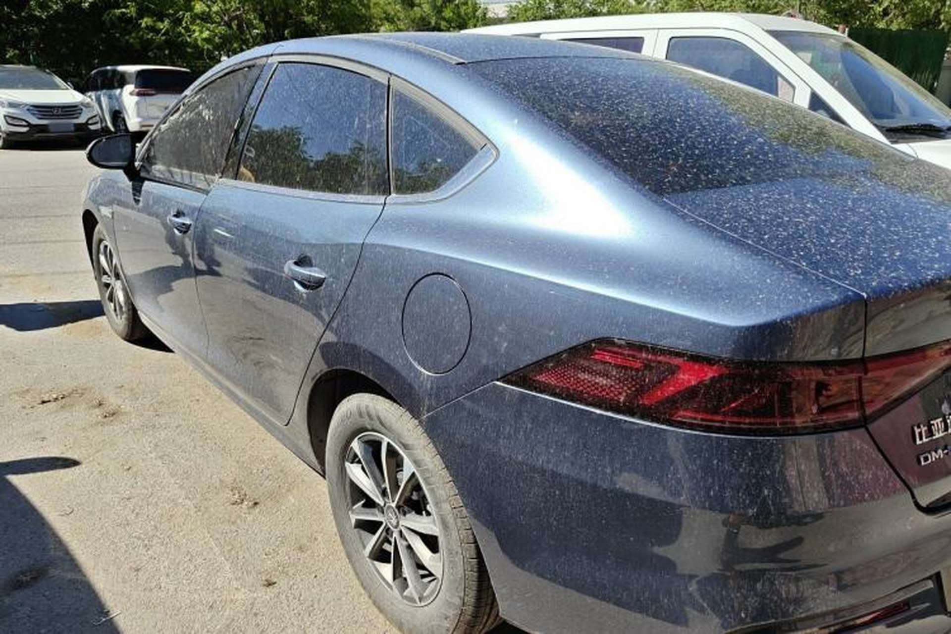 Used BYD Qin PLUS 2024 HONOR Edition DM-i 55KM Leading Model Rear Left 45 Deg