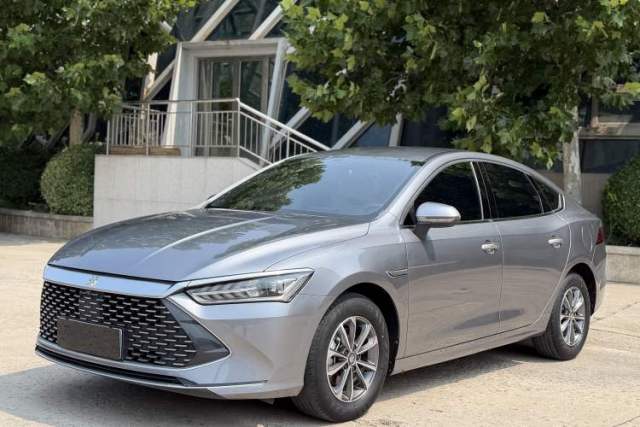 BYD Qin PLUS 2024 HONOR Edition DM-i 55KM Leading Model usado