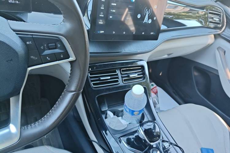 Used BYD Qin PLUS 2024 HONOR Edition DM-i 55KM Leading Model Audio And AC Panel