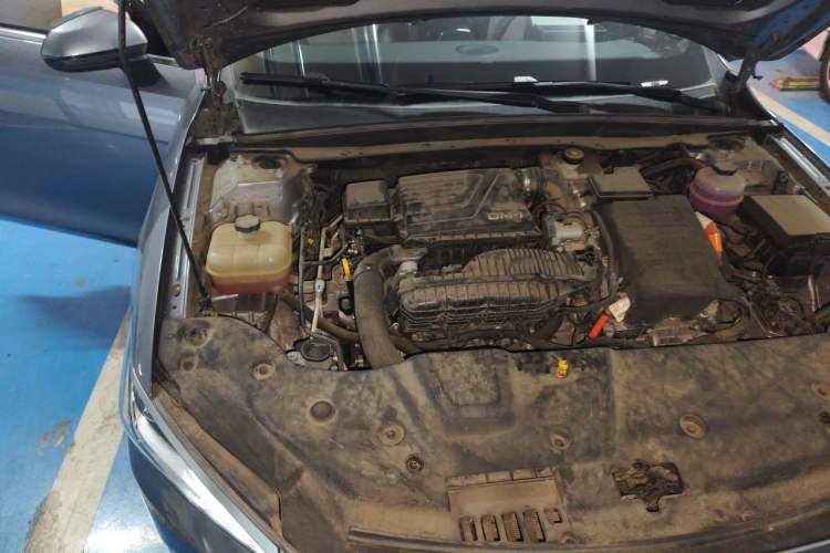 Used BYD Qin PLUS 2024 HONOR Edition DM-i 55KM Leading Model Engine Bay Right