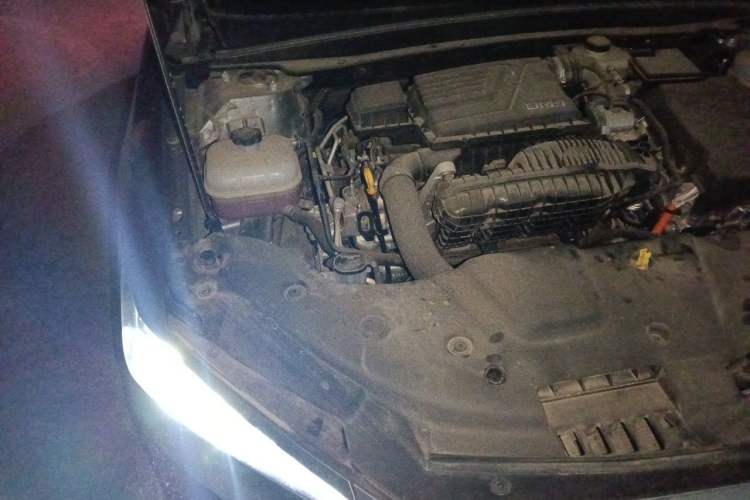 Used BYD Qin PLUS 2024 HONOR Edition DM-i 55KM Leading Model Engine Bay Right
