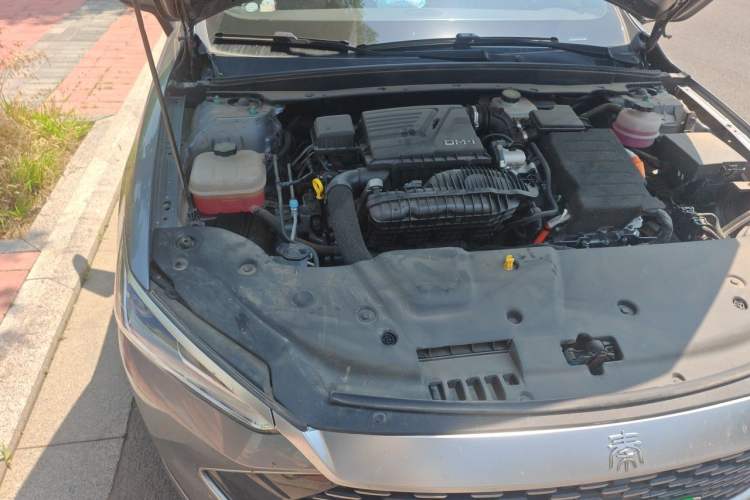 Used BYD Qin PLUS 2024 HONOR Edition DM-i 55KM Leading Model Engine Bay Right