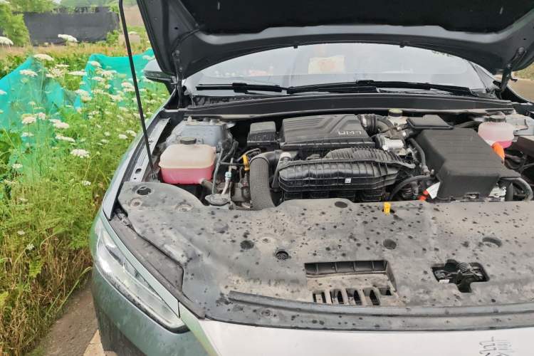 Used BYD Qin PLUS 2024 HONOR Edition DM-i 55KM Leading Model Engine Bay Right