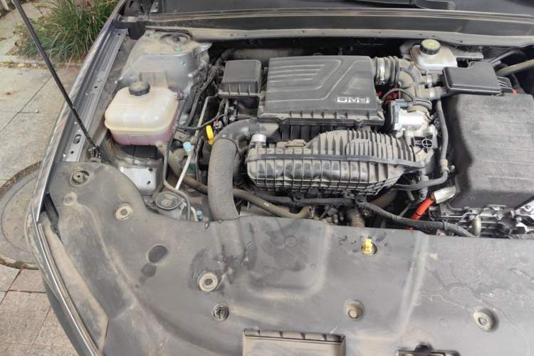 Used BYD Qin PLUS 2024 HONOR Edition DM-i 55KM Leading Model Engine Bay Right