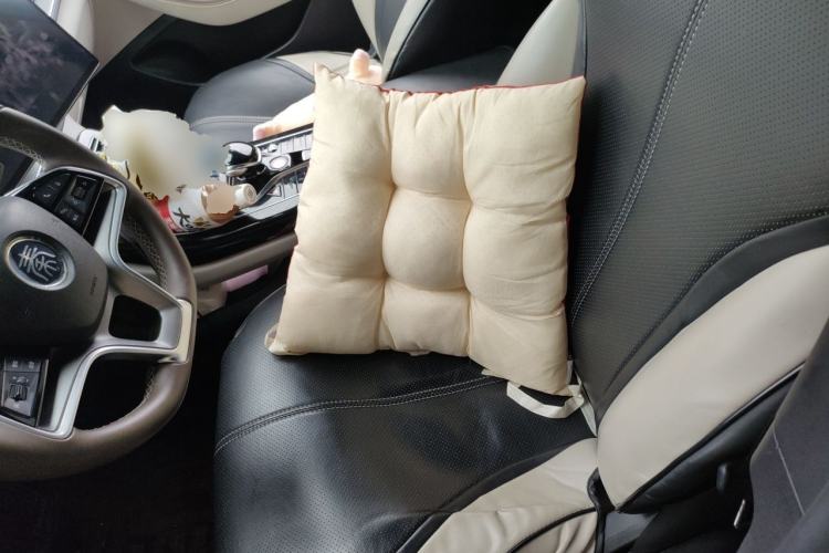 Used BYD Qin PLUS 2024 Honor Edition EV 510KM Leading Model Left Front Seat