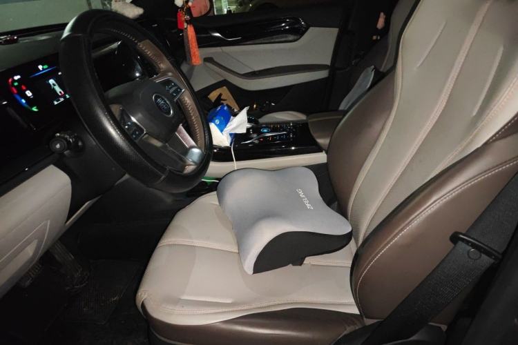Used BYD Qin PLUS 2024 HONOR Edition DM-i 55KM Leading Model Left Front Seat