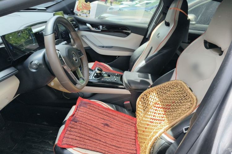 Used BYD Qin PLUS 2024 HONOR Edition DM-i 55KM Leading Model Left Front Seat