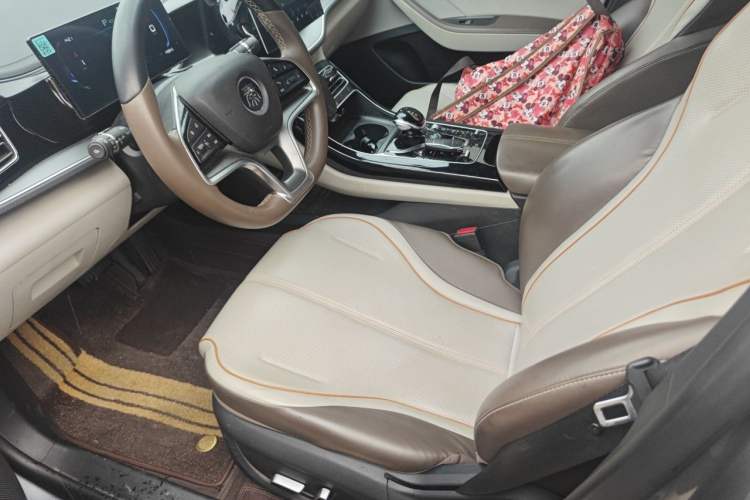 Used BYD Qin PLUS 2024 Honor Edition EV 510KM Beyond Model Left Front Seat