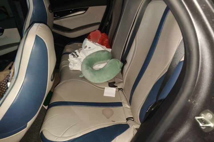 Used BYD Qin PLUS 2024 Honor Edition EV 420KM Leading Model Left Rear Seat