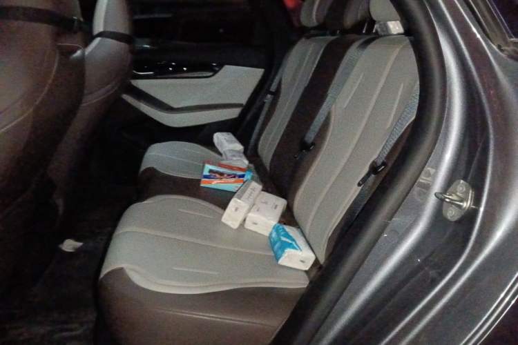 Used BYD Qin PLUS 2024 HONOR Edition DM-i 55KM Leading Model Left Rear Seat