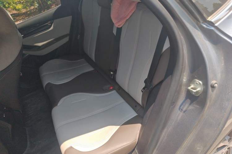 Used BYD Qin PLUS 2024 HONOR Edition DM-i 55KM Leading Model Left Rear Seat