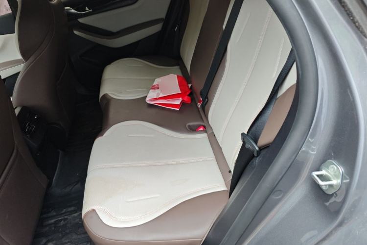 Used BYD Qin PLUS 2024 HONOR Edition DM-i 55KM Leading Model Left Rear Seat