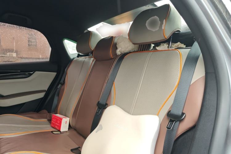 Used BYD Qin PLUS 2024 HONOR Edition DM-i 55KM Leading Model Left Rear Seat