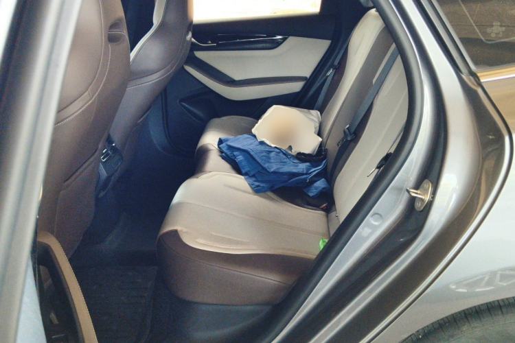 Used BYD Qin PLUS 2024 HONOR Edition DM-i 55KM Leading Model Left Rear Seat