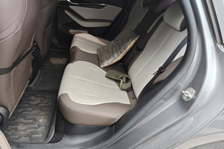 Used BYD Qin PLUS 2024 HONOR Edition DM-i 55KM Leading Model Left Rear Seat