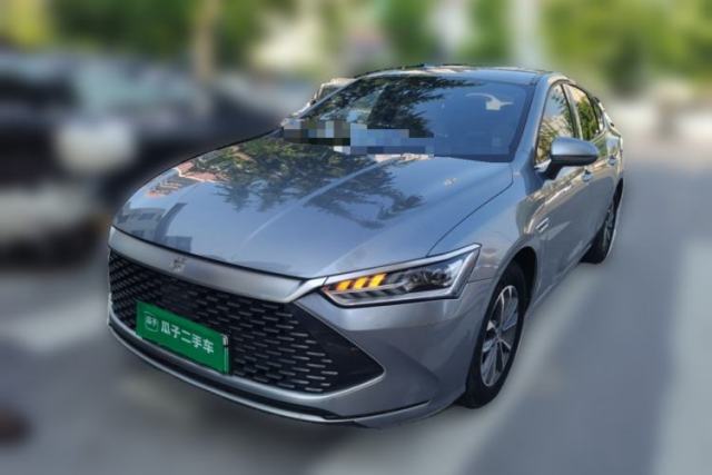 BYD Qin PLUS 2024 HONOR Edition DM-i 55KM Leading Model usado