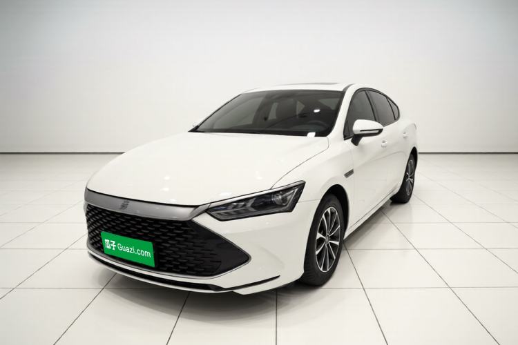 BYD Qin PLUS 2024 HONOR Edition DM-i 55KM Leading Model