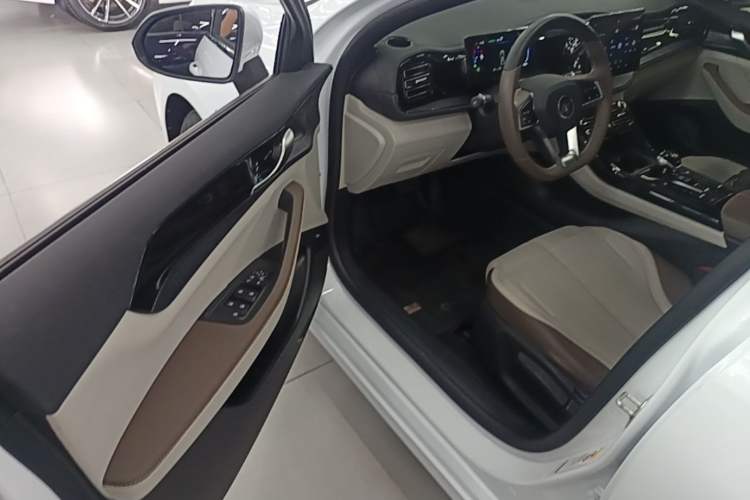 Used BYD Qin PLUS 2024 HONOR Edition DM-i 55KM Beyond Model Driver Seat