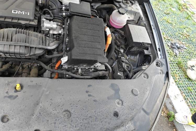 Used BYD Qin PLUS 2024 HONOR Edition DM-i 55KM Leading Model Engine Bay Left