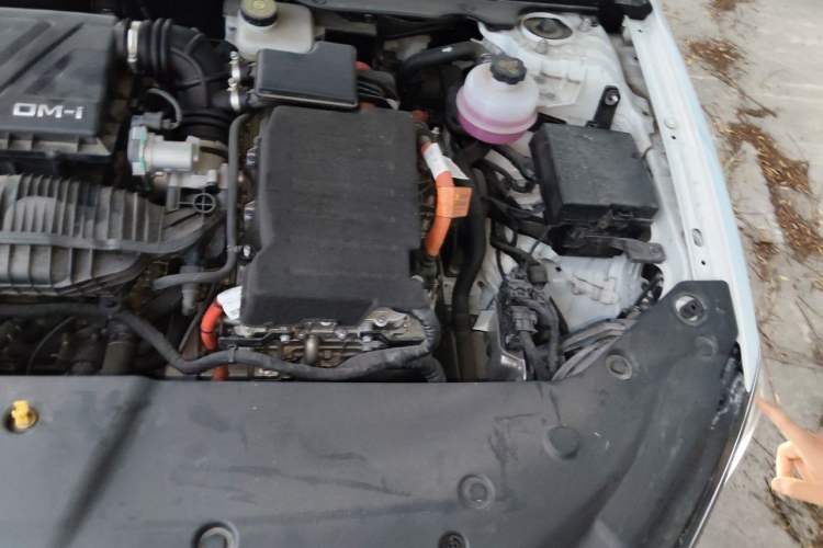 Used BYD Qin PLUS 2024 HONOR Edition DM-i 55KM Beyond Model Engine Bay Left