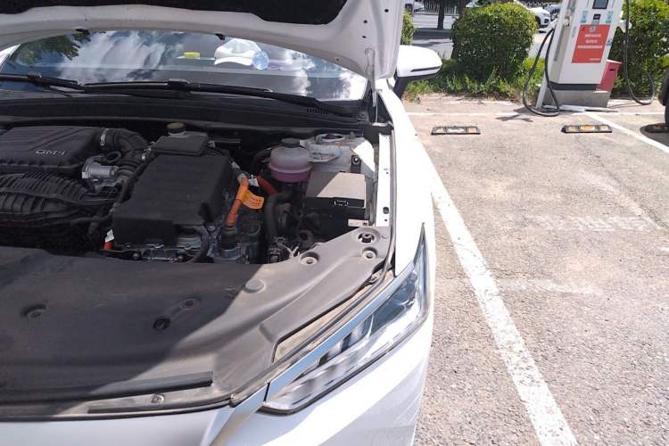 Used BYD Qin PLUS 2024 HONOR Edition DM-i 120KM Leading Model Engine Bay Left