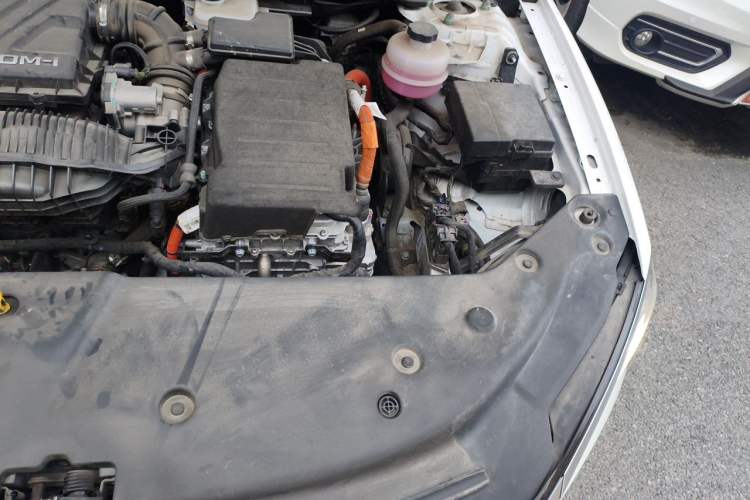 Used BYD Qin PLUS 2024 HONOR Edition DM-i 55KM Leading Model Engine Bay Left