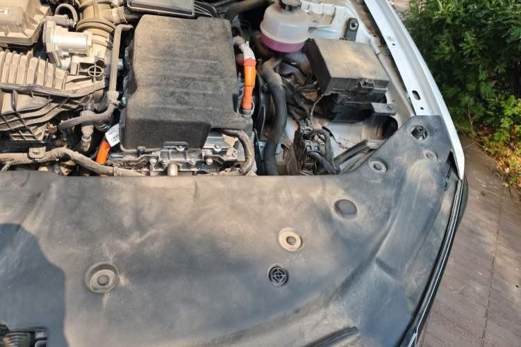 Used BYD Qin PLUS 2024 HONOR Edition DM-i 55KM Leading Model Engine Bay Left