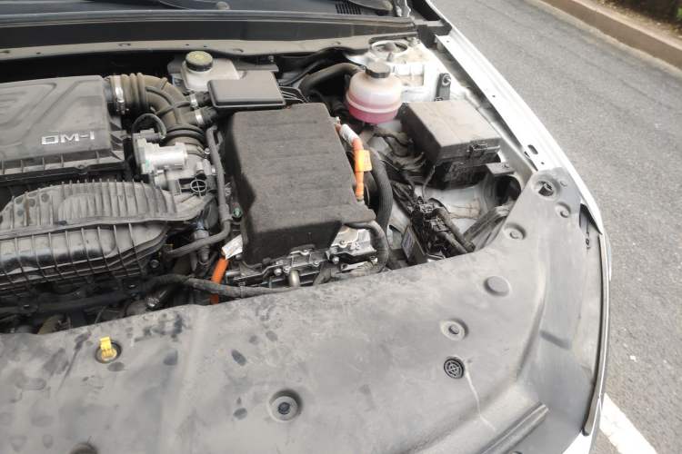 Used BYD Qin PLUS 2024 HONOR Edition DM-i 55KM Leading Model Engine Bay Left