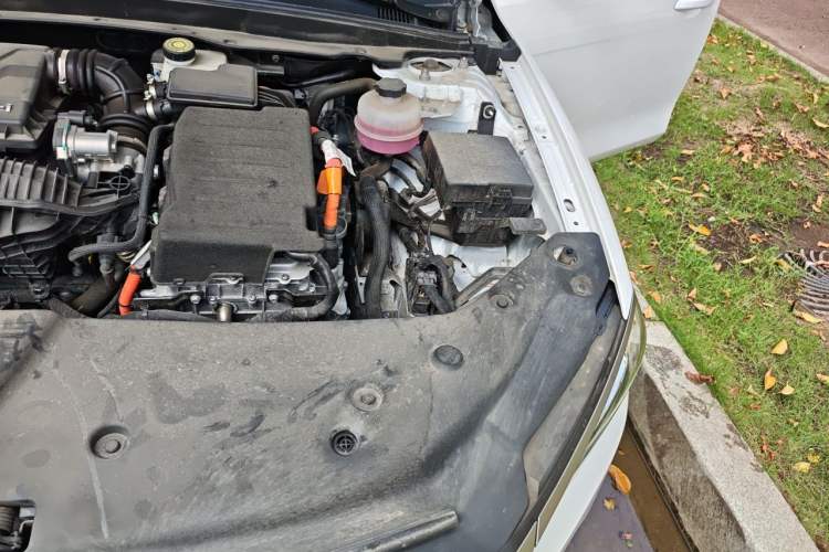 Used BYD Qin PLUS 2024 HONOR Edition DM-i 55KM Leading Model Engine Bay Left