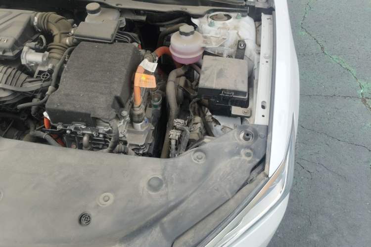 Used BYD Qin PLUS 2024 HONOR Edition DM-i 55KM Leading Model Engine Bay Left