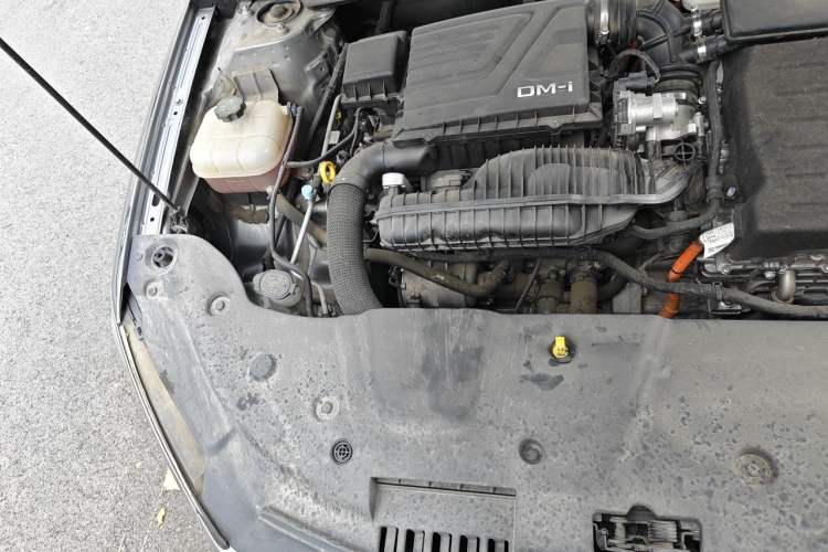 Used BYD Qin PLUS 2024 HONOR Edition DM-i 55KM Leading Model Engine Bay Right