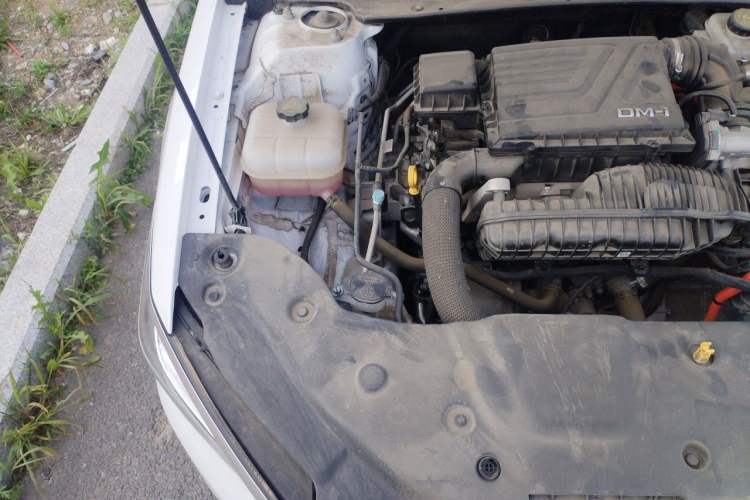 Used BYD Qin PLUS 2024 HONOR Edition DM-i 55KM Leading Model Engine Bay Right