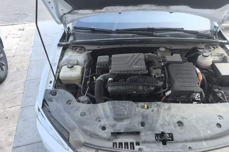 Used BYD Qin PLUS 2024 HONOR Edition DM-i 55KM Leading Model Engine Bay Right