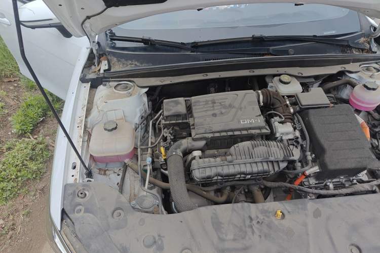 Used BYD Qin PLUS 2024 HONOR Edition DM-i 55KM Beyond Model Engine Bay Right