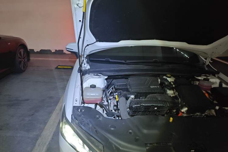 Used BYD Qin PLUS 2024 HONOR Edition DM-i 55KM Leading Model Engine Bay Right