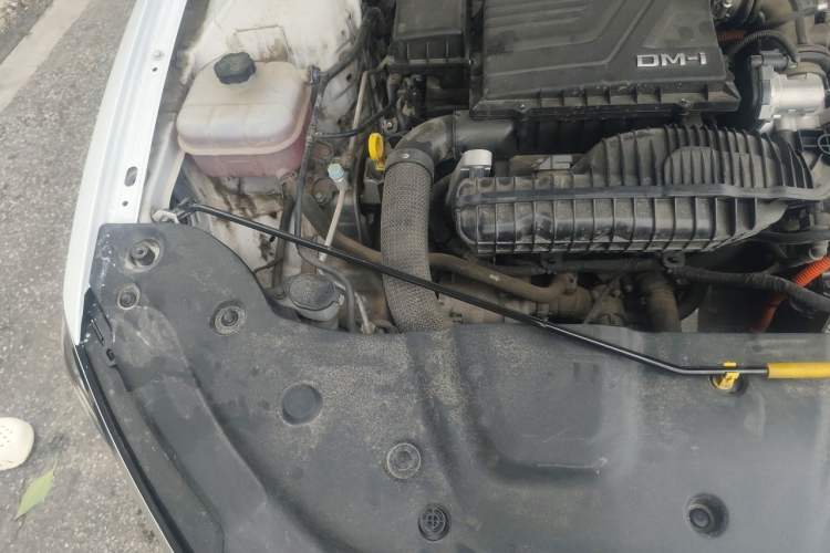Used BYD Qin PLUS 2024 HONOR Edition DM-i 55KM Leading Model Engine Bay Right