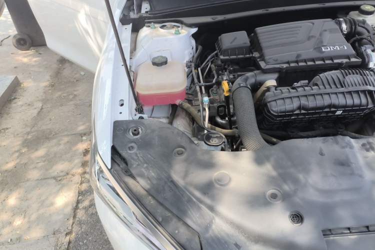 Used BYD Qin PLUS 2024 HONOR Edition DM-i 55KM Leading Model Engine Bay Right