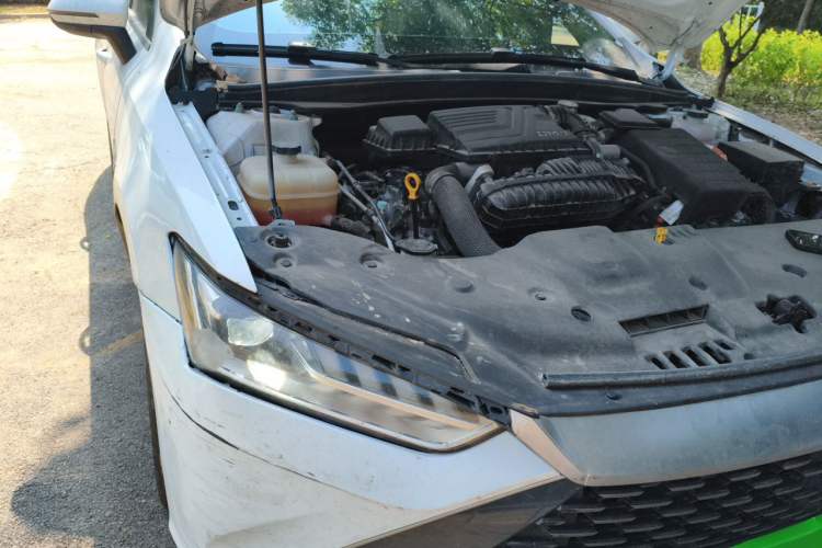Used BYD Qin PLUS 2024 HONOR Edition DM-i 55KM Leading Model Engine Bay Right