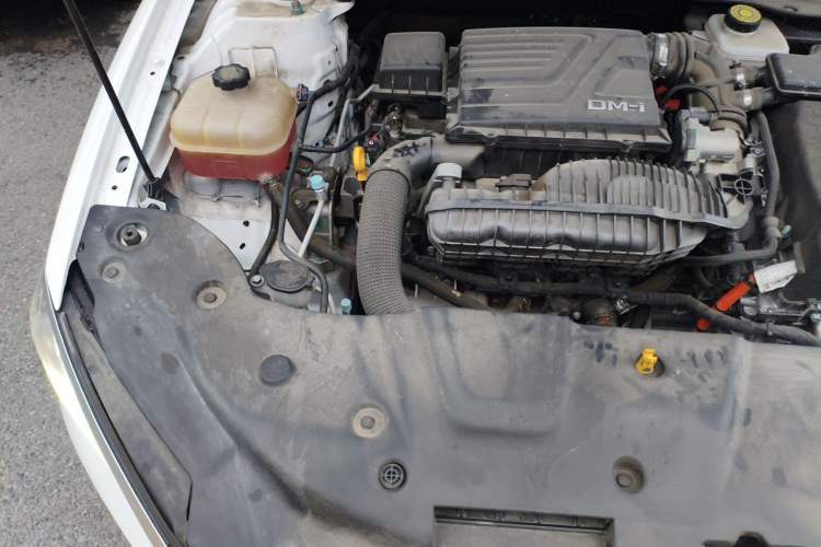Used BYD Qin PLUS 2024 HONOR Edition DM-i 55KM Leading Model Engine Bay Right