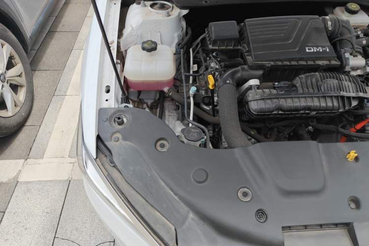 Used BYD Qin PLUS 2024 HONOR Edition DM-i 55KM Leading Model Engine Bay Right