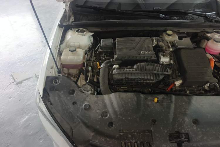 Used BYD Qin PLUS 2024 HONOR Edition DM-i 55KM Leading Model Engine Bay Right