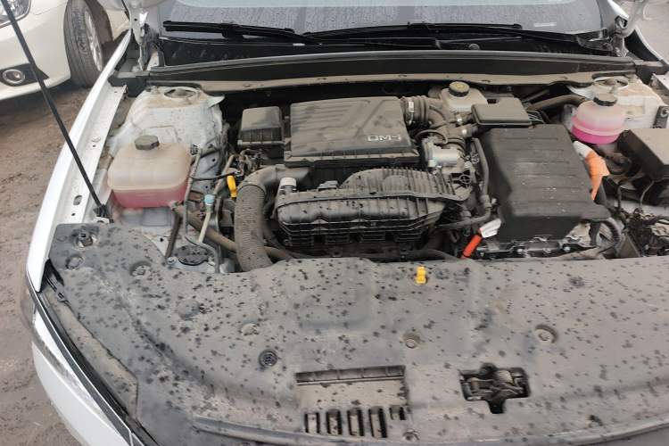 Used BYD Qin PLUS 2024 HONOR Edition DM-i 55KM Leading Model Engine Bay Right