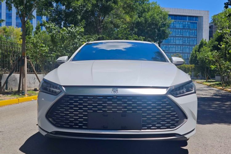 Used BYD Qin PLUS 2024 HONOR Edition DM-i 55KM Leading Model Exterior 1