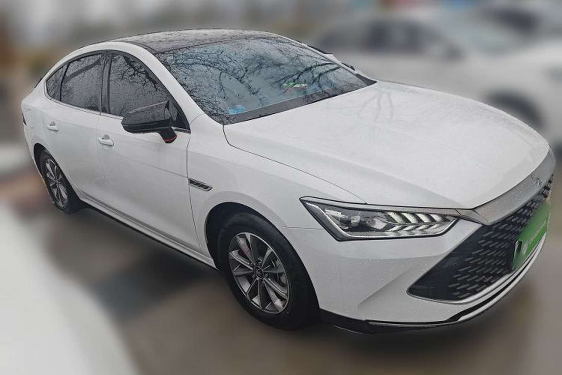 Used BYD Qin PLUS 2024 HONOR Edition DM-i 55KM Leading Model Exterior 1