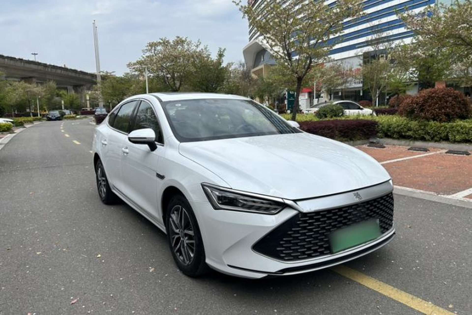 Used BYD Qin PLUS 2024 HONOR Edition DM-i 55KM Beyond Model Exterior 2