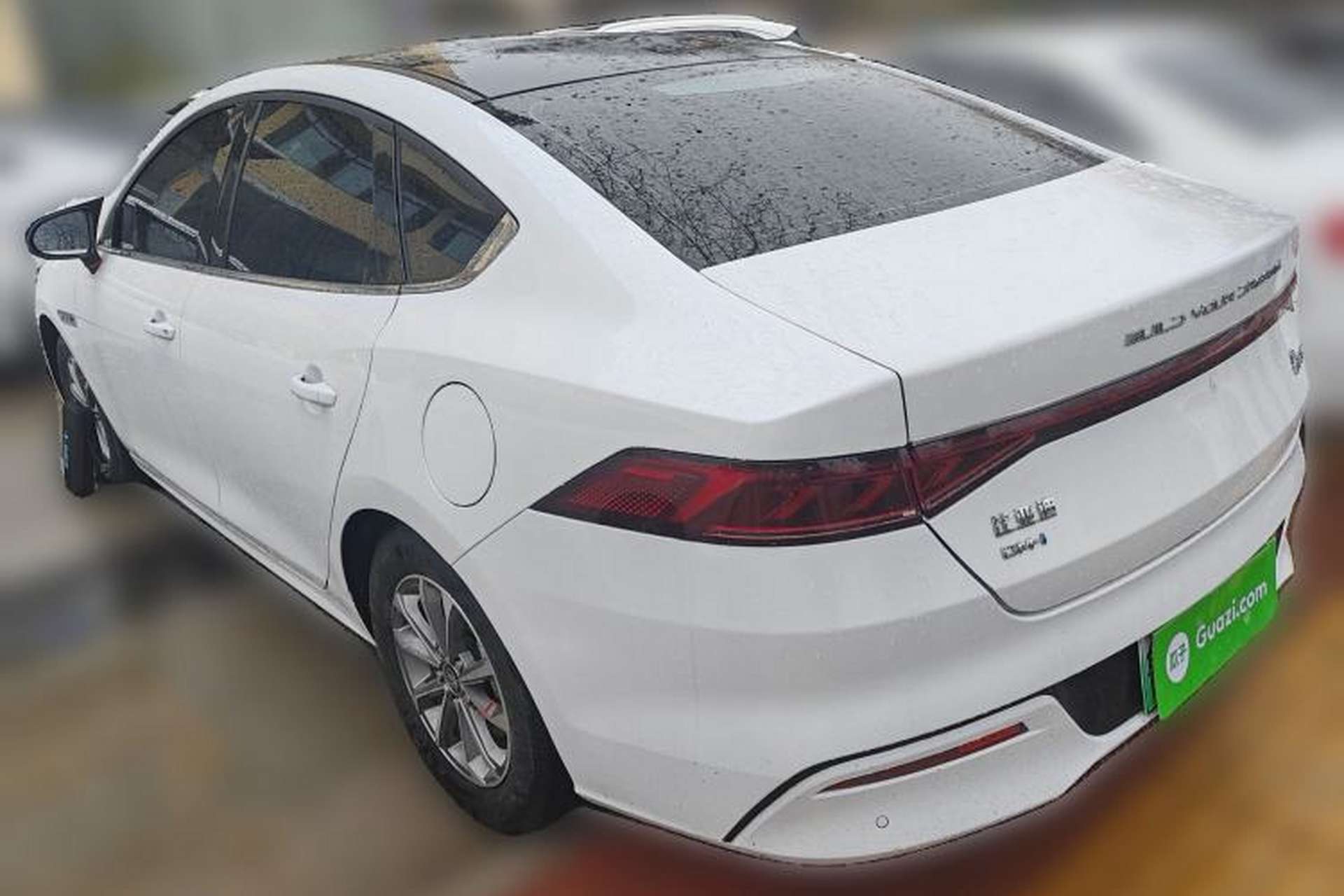 Used BYD Qin PLUS 2024 HONOR Edition DM-i 55KM Leading Model Exterior 2