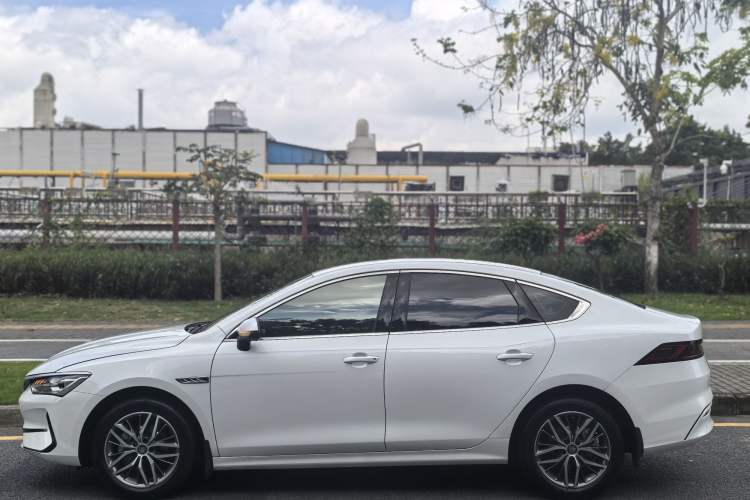 Used BYD Qin PLUS 2024 Honor Edition EV 510KM Leading Model Exterior 3