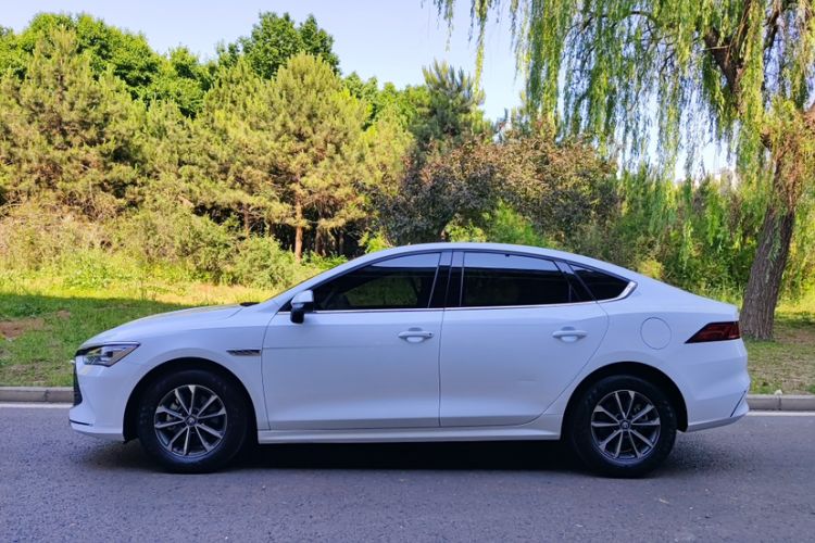 Used BYD Qin PLUS 2024 HONOR Edition DM-i 55KM Leading Model Exterior 4