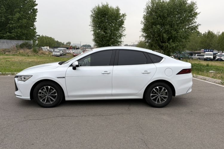 Used BYD Qin PLUS 2024 HONOR Edition DM-i 55KM Leading Model Exterior 4