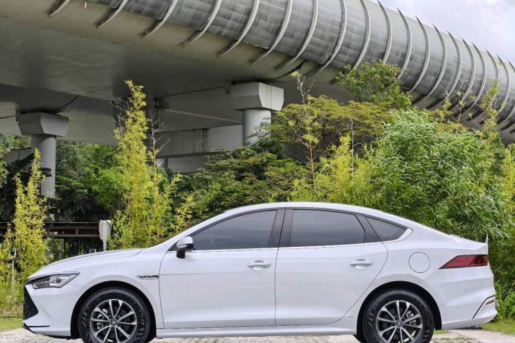Used BYD Qin PLUS 2024 HONOR Edition DM-i 55KM Leading Model Exterior 6